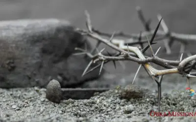 Perfezione e santità