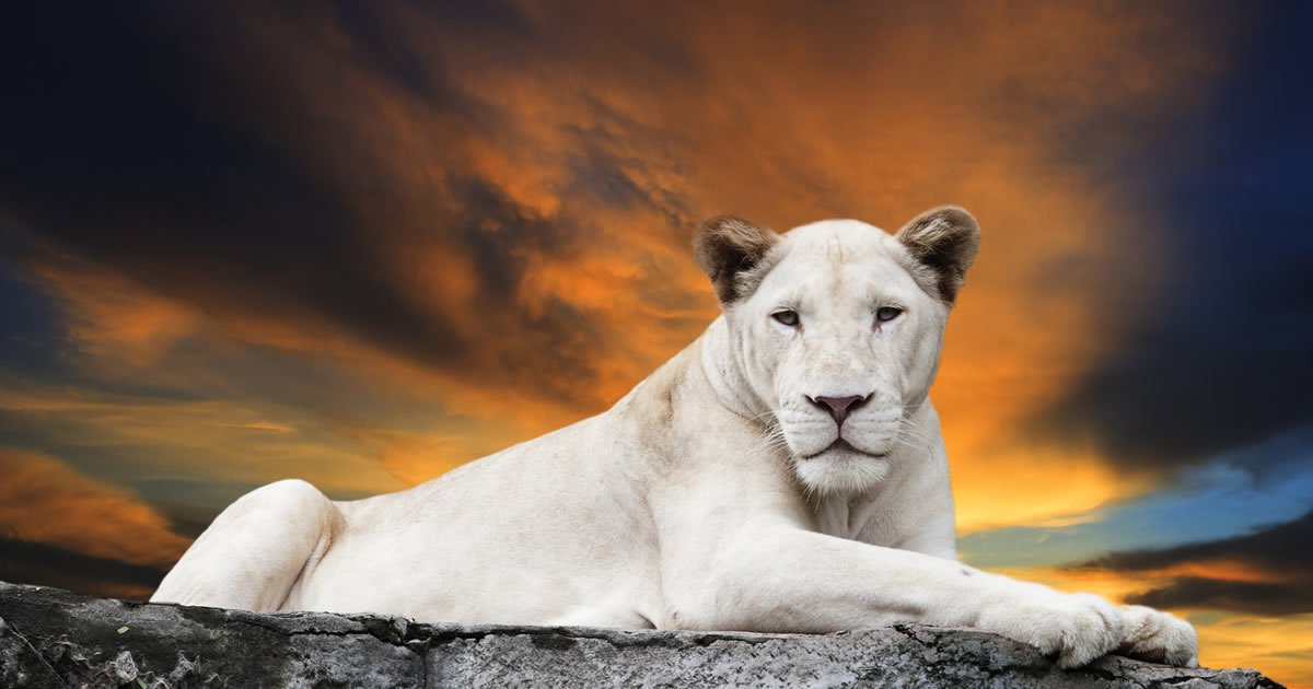 O que tenho a oferecer?