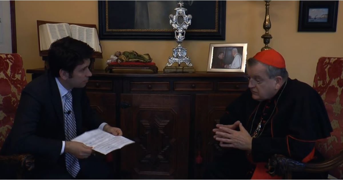 Cardeal Burke: Papa não me concedeu audiência