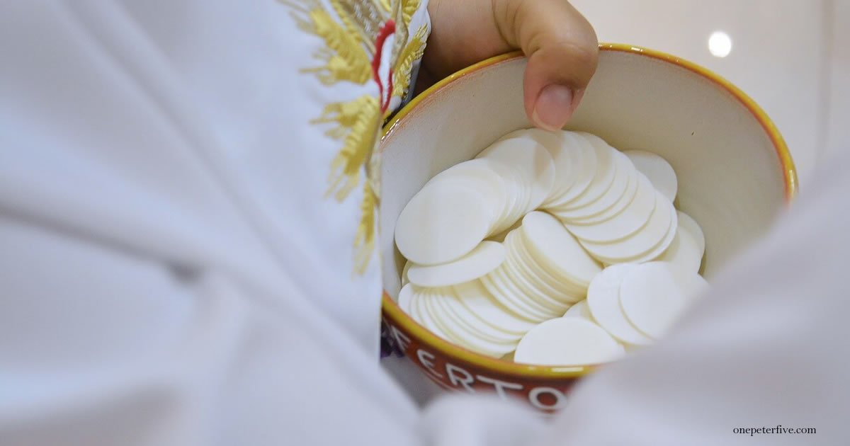 Evangelização e catequese Catequese