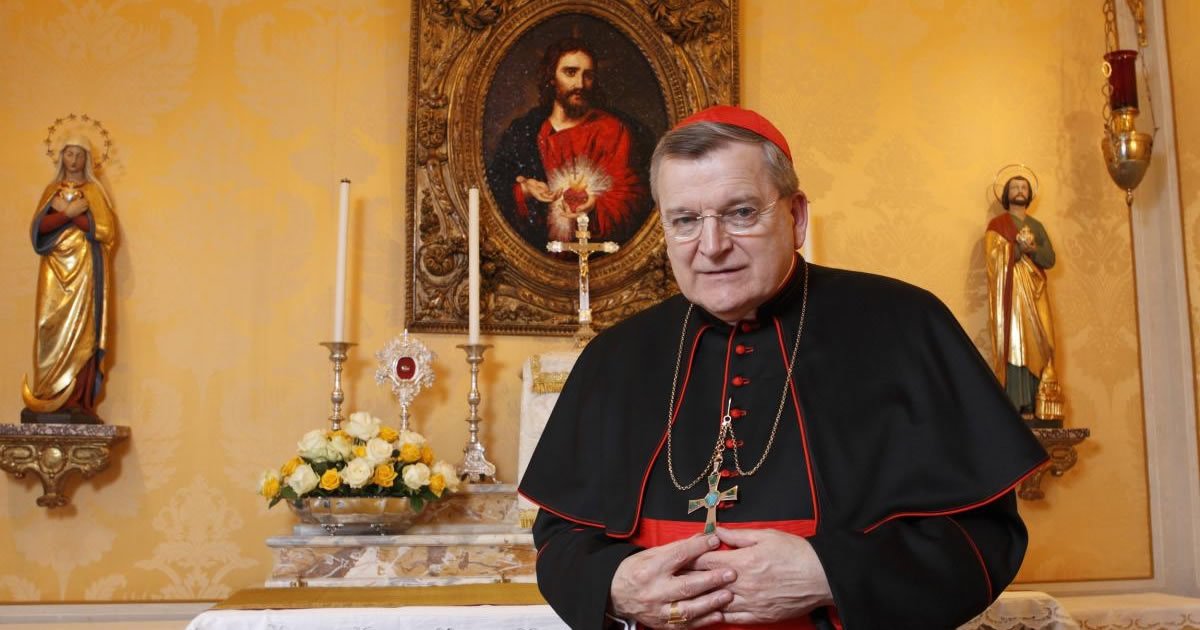 Cardeal Burke: “Nunca serei parte de um cisma, mesmo que seja castigado por ensinar e defender a fé católica”