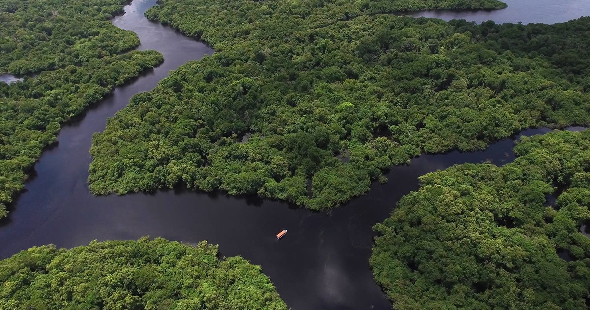 Sínodo da Amazônia: “Missionários que não evangelizam, sacerdócio autóctone casado e culto a ídolos pagãos”.